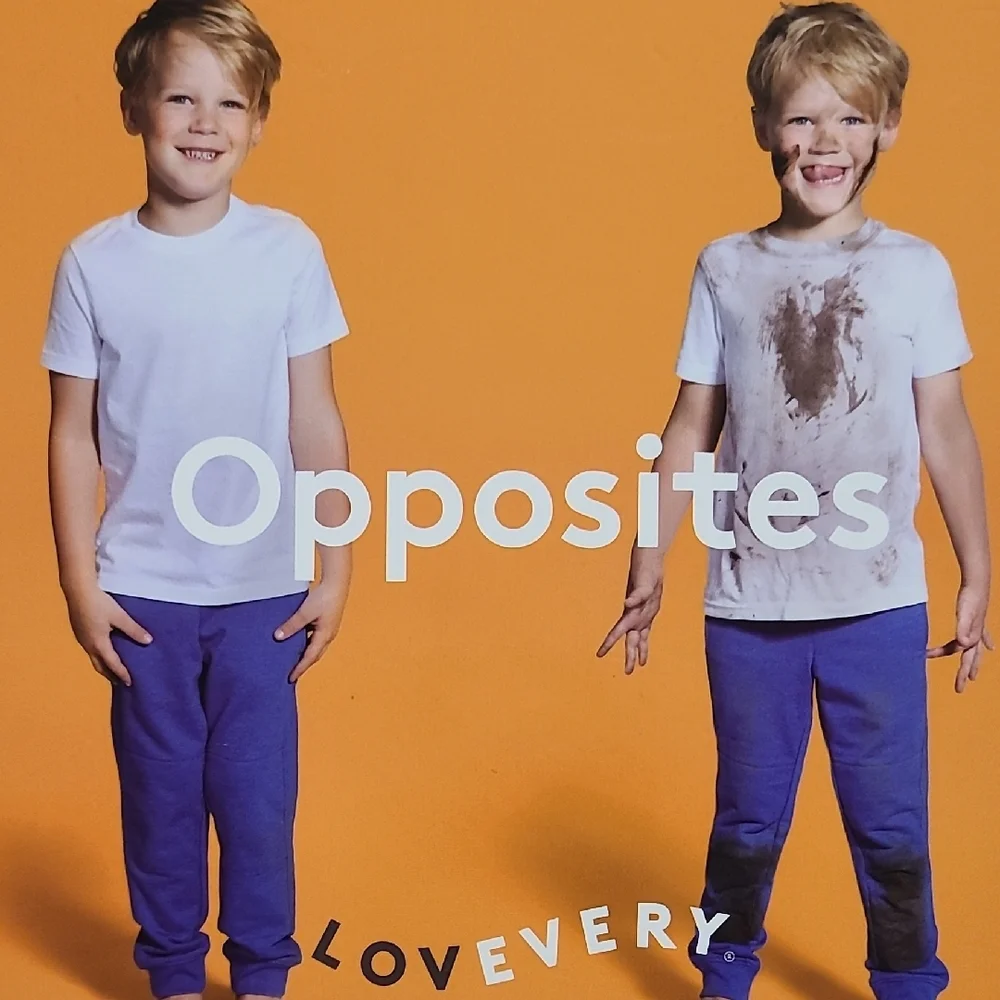 Lovevery Opposites Book The Adventurer Play Kit Months 16, 17, 18 - Picture 7 of 8
